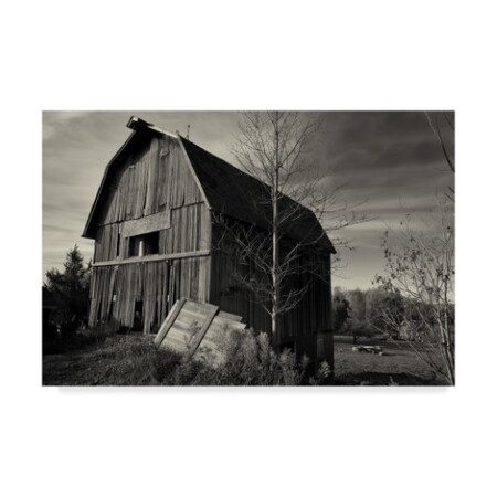 Trademark Fine Art Anthony Paladino 'Old Barn Autumn' Canvas Art, 16x24 ALI24640-C1624GG